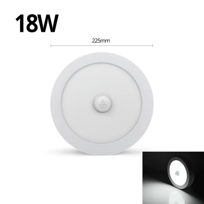 18W 12W 6W Night Light LED Ceiling Lamp with Motion Sensor PIR Corridor Bedroom Toilet Lights Lampe 85-265V Human Body Induction